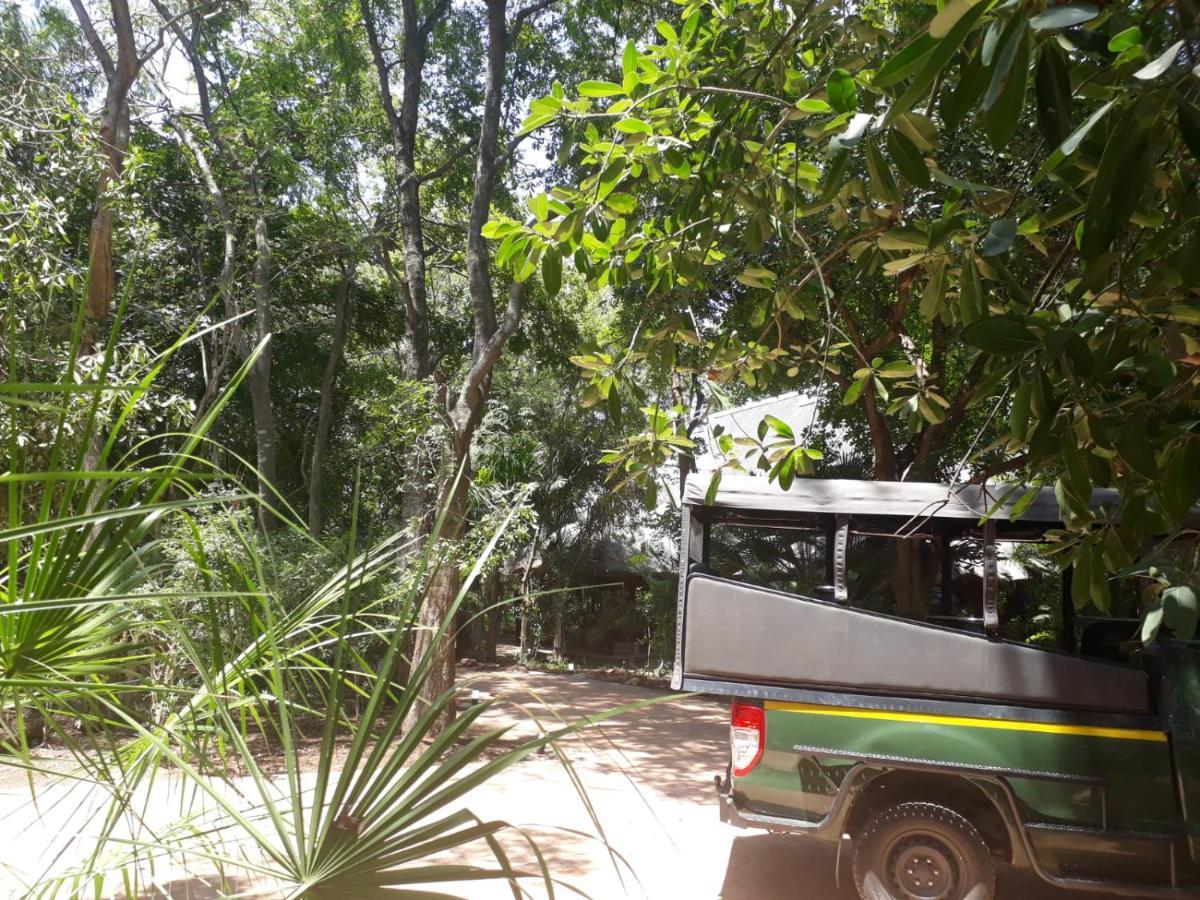 Kruger Eden Lodge Marloth Park Eksteriør bilde